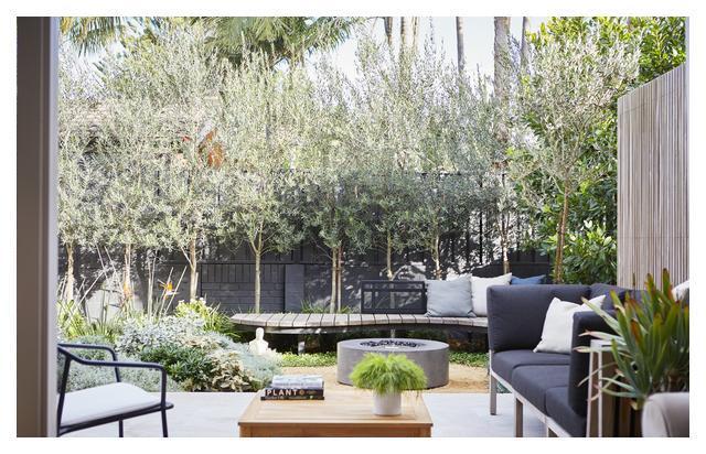 1683512114414870.jpg 1683512114414870.jpg